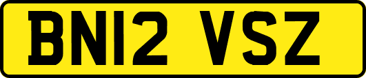 BN12VSZ