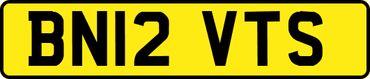 BN12VTS