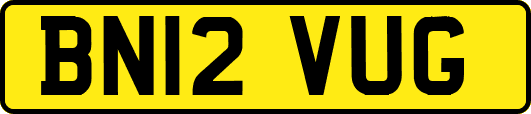 BN12VUG