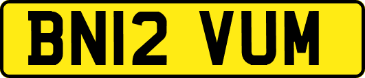 BN12VUM
