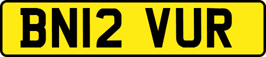 BN12VUR