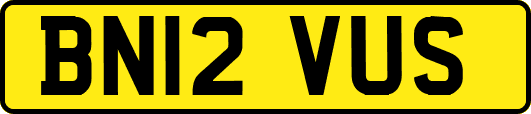 BN12VUS