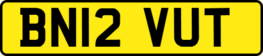 BN12VUT