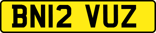 BN12VUZ