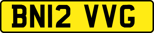 BN12VVG