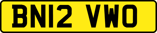 BN12VWO