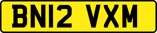 BN12VXM