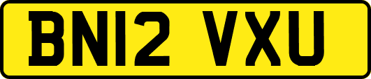 BN12VXU