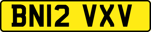 BN12VXV