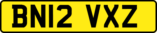 BN12VXZ
