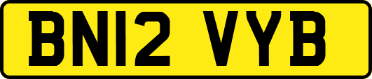 BN12VYB