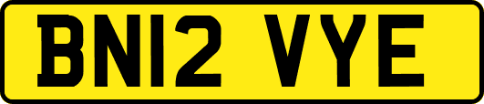 BN12VYE