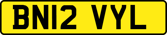 BN12VYL