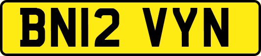 BN12VYN