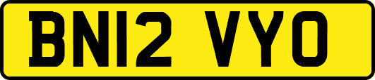BN12VYO