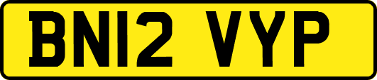BN12VYP