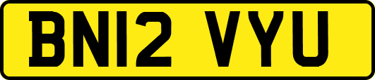 BN12VYU