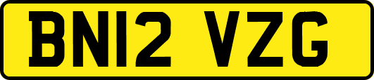 BN12VZG