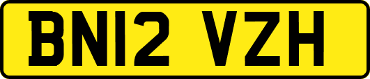 BN12VZH