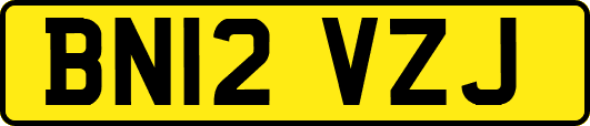 BN12VZJ