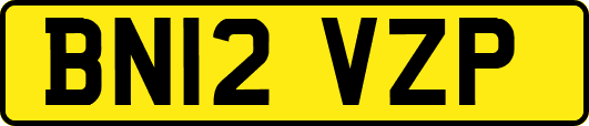 BN12VZP