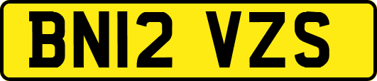 BN12VZS