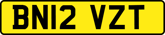 BN12VZT