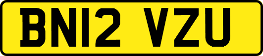 BN12VZU