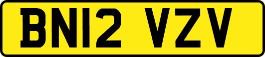 BN12VZV