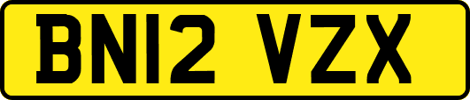 BN12VZX