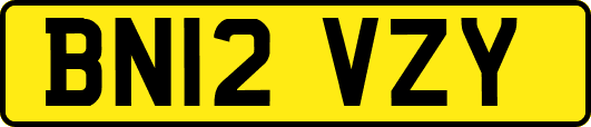 BN12VZY