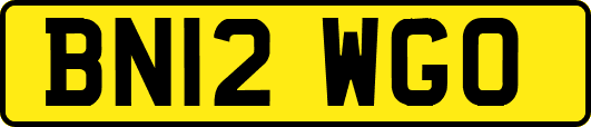 BN12WGO