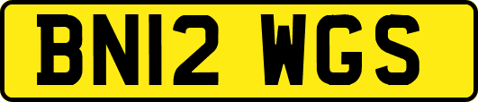 BN12WGS