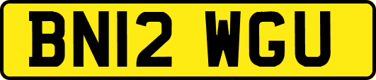 BN12WGU