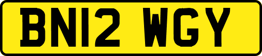 BN12WGY