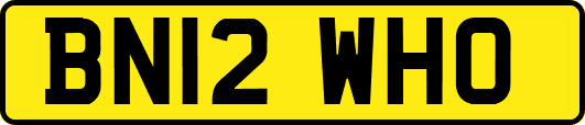 BN12WHO