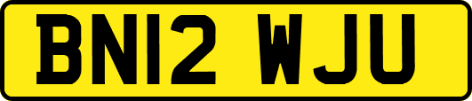 BN12WJU