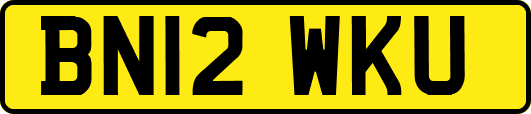 BN12WKU