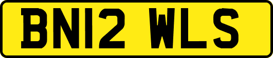 BN12WLS