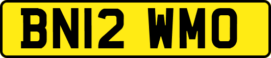 BN12WMO