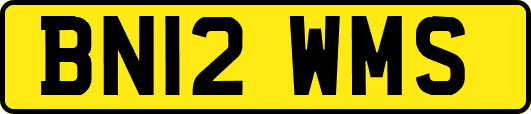 BN12WMS