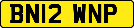 BN12WNP