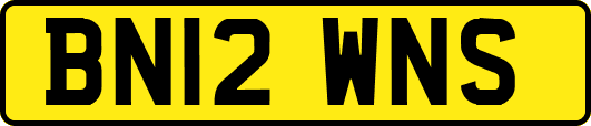 BN12WNS