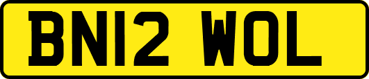 BN12WOL