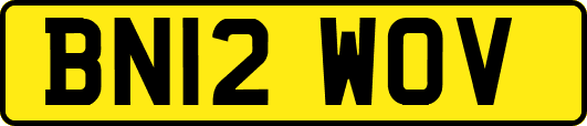 BN12WOV
