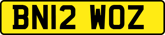 BN12WOZ