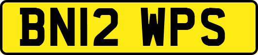 BN12WPS