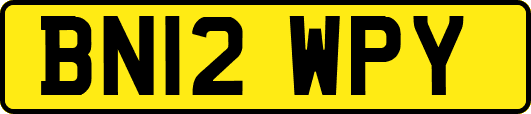 BN12WPY