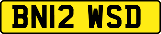 BN12WSD