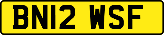 BN12WSF